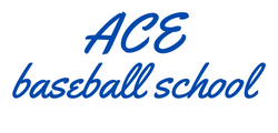 ace baseball school